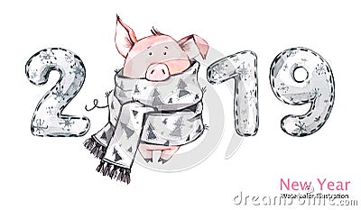 2019 Happy New Year banner. Cute pig in winter scarf with numbers. Watercolor illustration. Symbol of winter holidays Cartoon Illustration