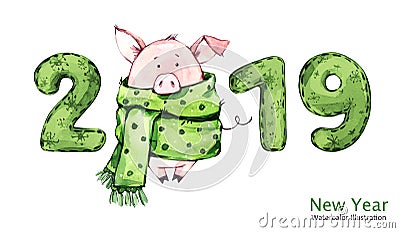 2019 Happy New Year banner. Cute pig in winter scarf with numbers. Watercolor illustration. Symbol of winter holidays Cartoon Illustration