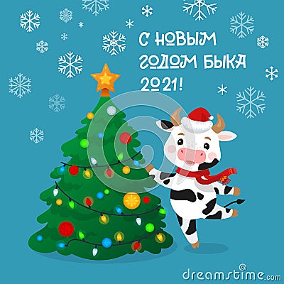 Happy New Year Cartoon Cows Character. Russian Greeting Card. Cow celebrating the 2021. New Year of Ox. Bull Cartoon Vector Illustration