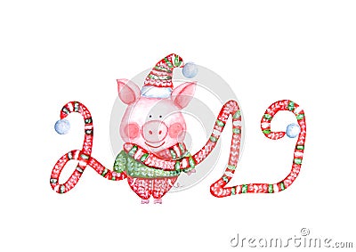 2019 Happy New Year and Christmas illustration with watercolor funny pig Cartoon Illustration