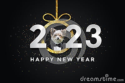 Happy new year 2023 with a Dog, biewer yorkshire Stock Photo