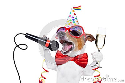 Happy new year dog Stock Photo