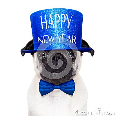 Happy new year dog Stock Photo