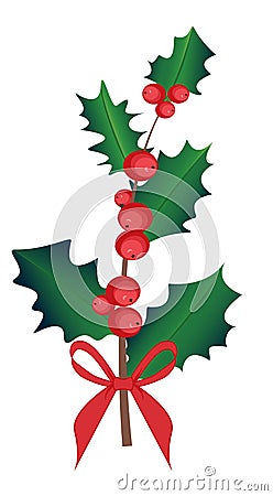 Ilex branch with berry and leaves, mistletoe set. symbol of christmas and new year, vector isolated drawing on white background. C Vector Illustration