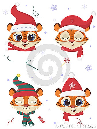 Happy New Year and Merry Christmas. A set of four tiger heads in carnival hats and scarves of Santa Claus, against a Vector Illustration