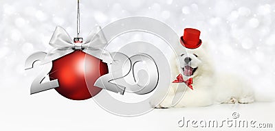 2020 happy new year number text with funny magic puppy dog with red hat and christmas ball isolated on silver blurred lights Stock Photo