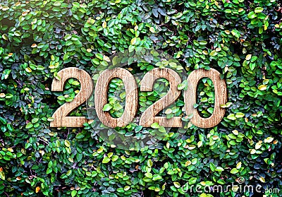 2020 happy new year wood texture number on Green leaves wall background,Nature eco concept,organic greeting card holiday.banner Stock Photo