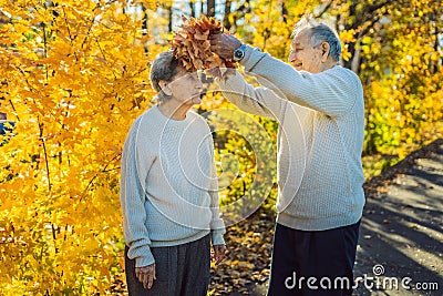 Happy old couple having fun at autumn park. Elderly man wearing a wreath of autumn leaves to his elderly wife Stock Photo