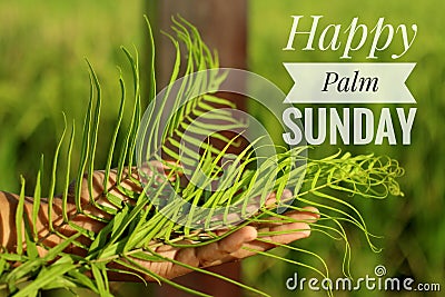 Happy Palm Sunday text desig on fresh green bakcgorund and fern or palm leaf concept. Stock Photo