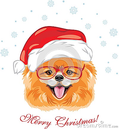 Happy Pomeranian dog in a Christmas hat. Festive design for postcard Vector Illustration