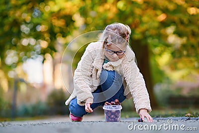 Happy preschool girl picking chestnuts in a park on autumn day. Happy school child having fun with searching chestnut Stock Photo