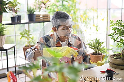 Happy senior asian retired man spraying and watering tree enjoys leisure activity at home Stock Photo