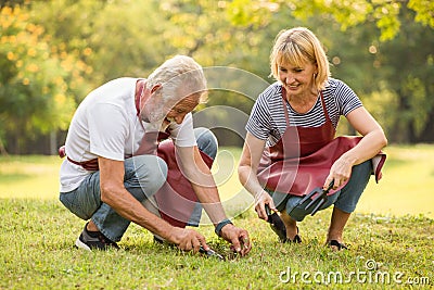 Happy senior couple gardening in the backyard garden together in morning time. old people sitting on grass planting a tree outside Stock Photo