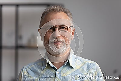 Happy senior grey haired 60s man with beard head shot Stock Photo