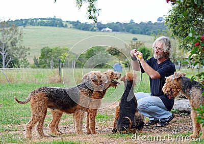 Happy senior man playing with his pack of loving loyal companion dogs Stock Photo