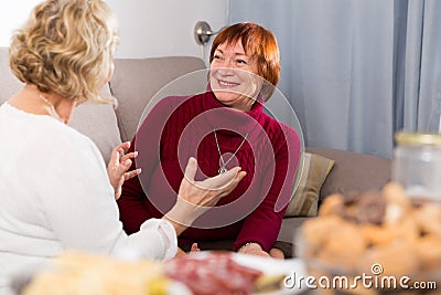Happy senior woman talking with female friend Stock Photo