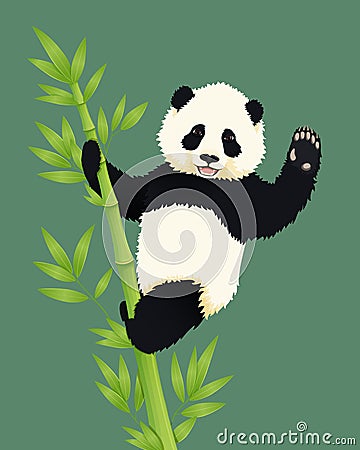 Happy smiling baby giant panda climbing green bamboo tree and waving. Black and white chinese bear cub. Vector Illustration