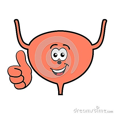 Happy smiling cartoon urinary bladder vector Vector Illustration