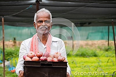 Happy smiling Indian farmer holding onions in tray at greenhouse or polyhouse - cocept of good crop growth and profit in Stock Photo