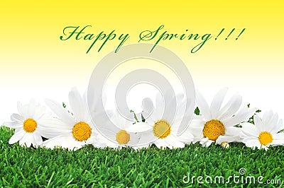 Happy spring Stock Photo