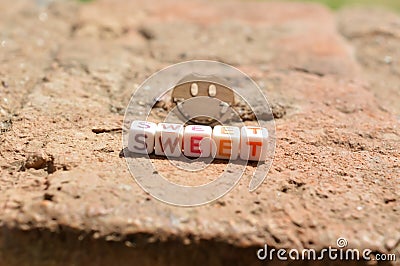 happy stick and sweet text on floor Stock Photo