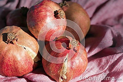 Happy Sukkot, New Year, Shanah Tovah concept : Pomegranate alone on pink cloth texture background with sharp light, strong shadows Stock Photo