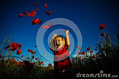 Happy summer. Child in poppy field. Kid with red flowers nature. Happy walk. Stock Photo