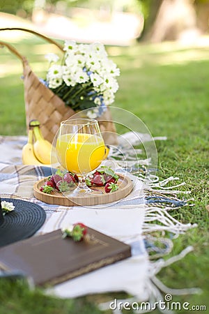 Happy sunny day at a picnic in the park. Flowers, fruits, drinks, a book, a hat, a basket and a blanket. Copy space Stock Photo