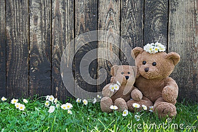 Happy teddy bears - mother and her baby on wooden background for Stock Photo