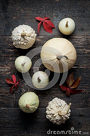 Happy Thanksgiving Background. Selection of various decorative white pumpkins on dark wooden background. Stock Photo