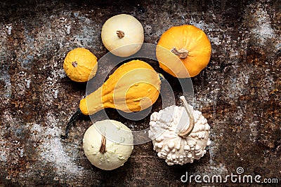 Happy Thanksgiving Background. Selection of various pumpkins on rustic metal background. Autumn vegetables. Stock Photo