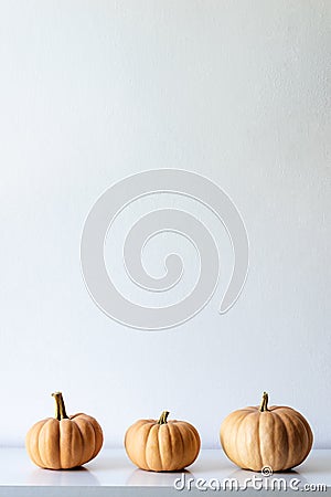 Happy Thanksgiving Background. Three pumpkins on white shelf against white wall. Modern minimal room decoration. Stock Photo