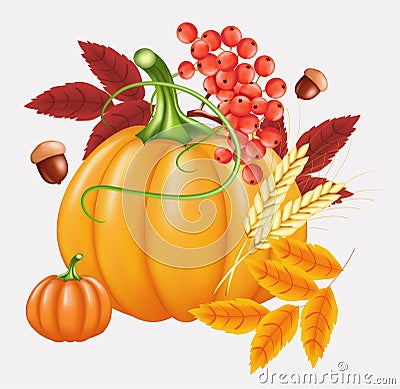 Happy Thanksgiving celebration background. Pumpkin, leaves, Rowan Berries, acorns. Cartoon Illustration