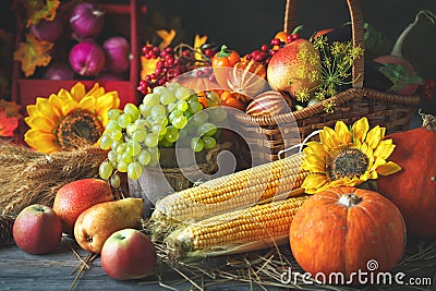 Happy Thanksgiving Day background, wooden table decorated with Pumpkins, Maize, fruits and autumn leaves. Harvest Stock Photo