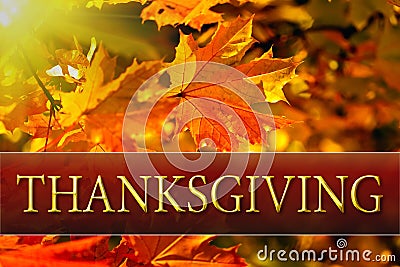 Happy Thanksgiving Greeting card message Stock Photo