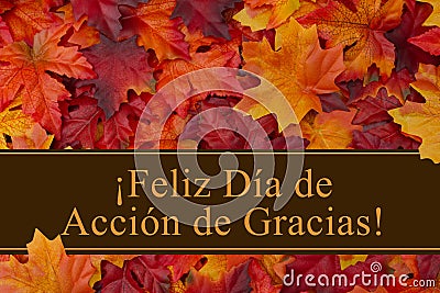 Happy Thanksgiving Greeting in Spanish Stock Photo