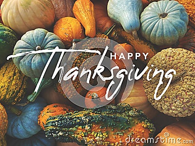 Happy Thanksgiving handwritten script text with pumpkins, squash and gourds colorful background texture Stock Photo