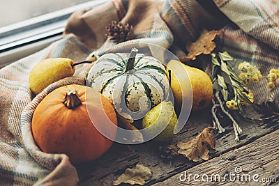 Happy Thanksgiving. Stylish pumpkins, autumn leaves, pears and cozy scarf on rustic old wooden background. Rural fall harvest Stock Photo