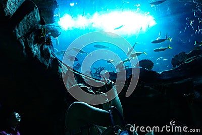 Happy tourist take photos of aquarium, Hong Kong Ocean Park Editorial Stock Photo