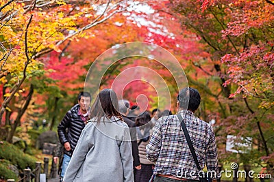 Happy tourists enjoying with beautiful nature in Autumn foliage season, group traveler visit in Kyoto city, Japan and looking Editorial Stock Photo