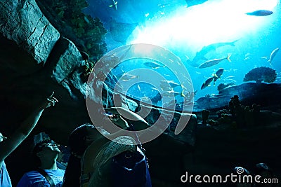 Happy tourists take photos of aquarium, Hong Kong Ocean Park Editorial Stock Photo
