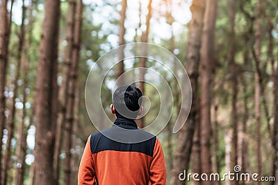 Happy traveler man standing and looking Pine tree forest, solo tourist in orange sweater traveling at Pang Oung, Mae Hong Son, Stock Photo