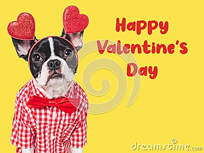 Happy Valentine's Day. Lovable puppy and congratulatory inscription Stock Photo