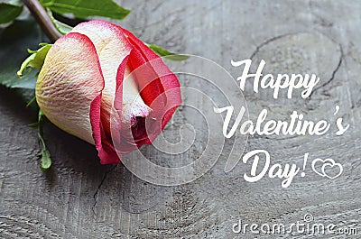 Happy Valentines Day greeting card. Beautiful pink rose on old wooden background.St Valentine`s Day or Love concept. Stock Photo