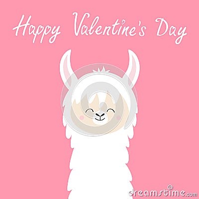 Happy Valentines Day. Llama alpaca animal face head neck. No drama. Cute cartoon funny kawaii smiling character. Childish baby Vector Illustration