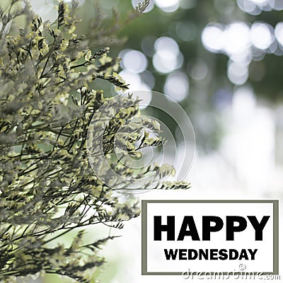 Happy Wednesday Word Stock Photo