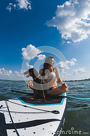 happy woman with dog on supboard Stock Photo