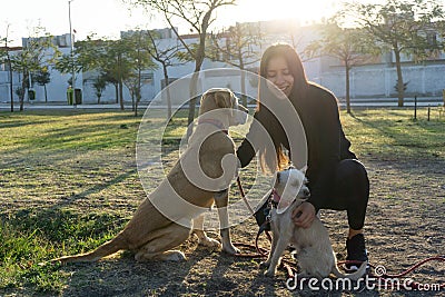 Happy woman with dogs in a park Stock Photo