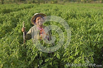 Happy woman farmer Stock Photo