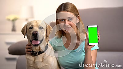 Happy woman hugging cute labrador dog, showing green screen smartphone, pet app Stock Photo